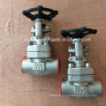 API6d 800lb Forged Stainless Steel Butt Welding End Gate Valve